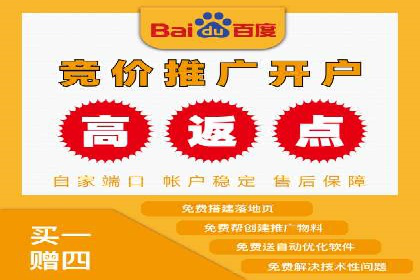百度竞价广告投放数据分析